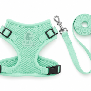 Abbey Pet Stores Breathable Mesh Pet Harness and Leash Set for Dogs & Cats – Mint Green