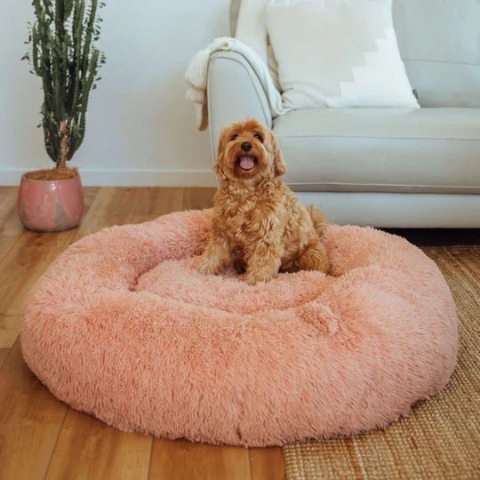 Calming Dog Bed & Cover Bundle - Image 2