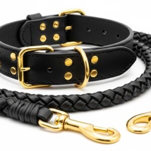 Premium Genuine Leather Dog Collar & Lead Set – Braided Heavy Duty Leash